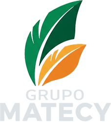 Grupo MATECY